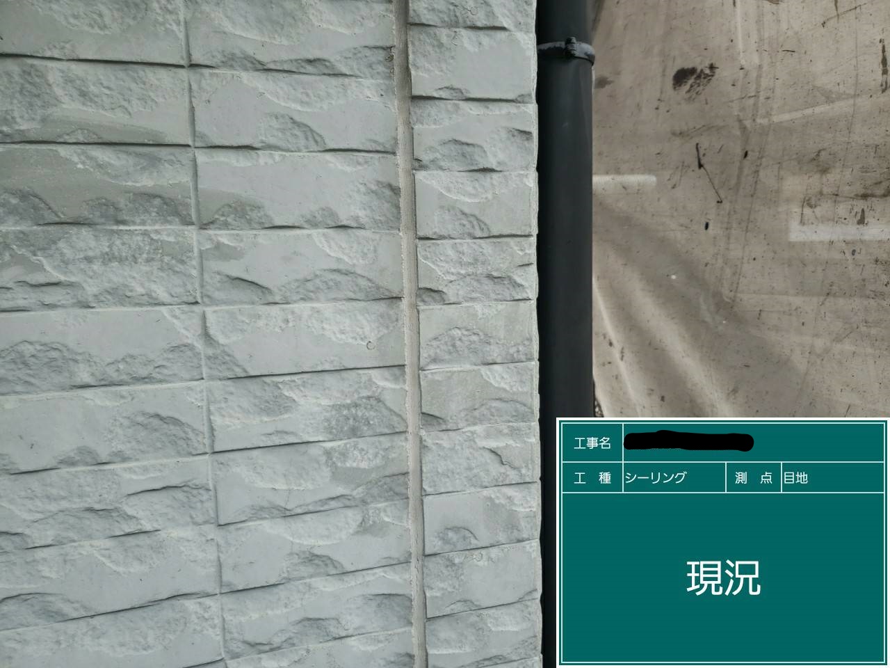 行政書士11