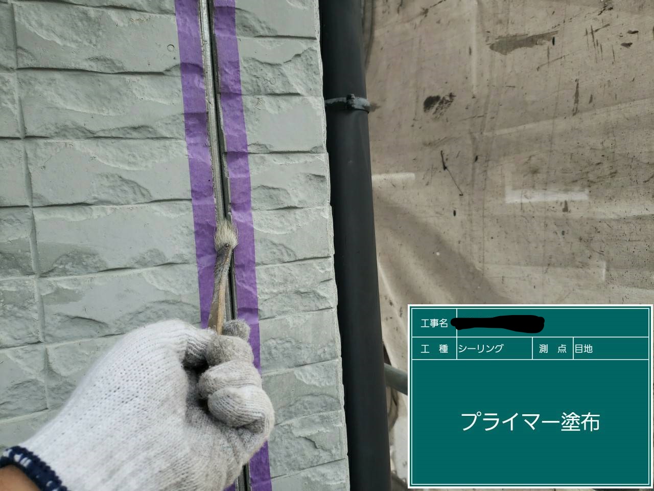 行政書士13